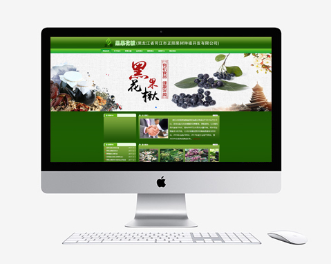 黑龍江省同江市正陽果樹種植開發有限公司