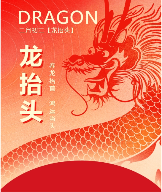 二月二龍抬頭，春龍振翅鴻運啟 —— 佳木斯網云信息科技有限公司與您共迎新春盛景
